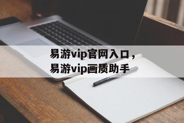 易游vip官网入口，易游vip画质助手